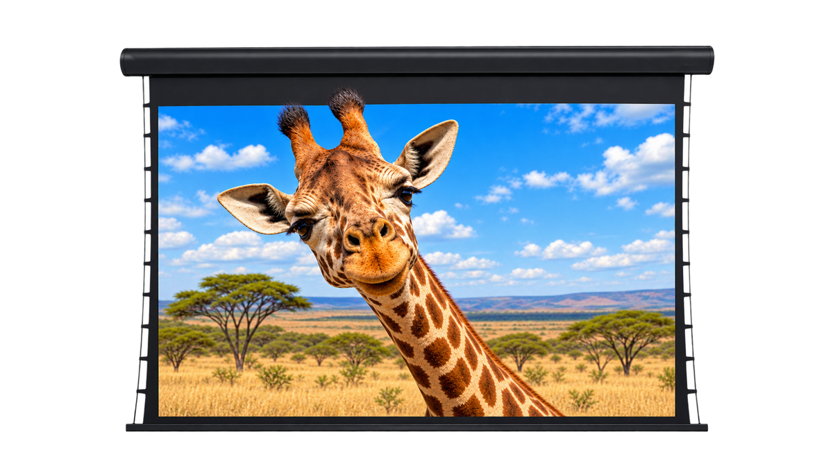 Carson Screen Preference Acoustic 16:9 4K/8K HDR Tab-Tension Ultra-Flat Powered Projector Screen