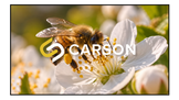 Carson Acoustic Zero HDR Acoustic Woven Matt II Fixed Frame Projector Screen | 16:9