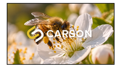 Carson Screens Acoustic Zero 16:9 4K/8K HDR Fixed Frame Projector Screen - Acoustic Woven Matt II Material