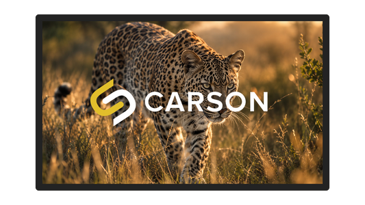 Carson Selina Black and ALR Core II DNP Material 4K/8K 16:9 Home Theatre Fixed Frame Screen