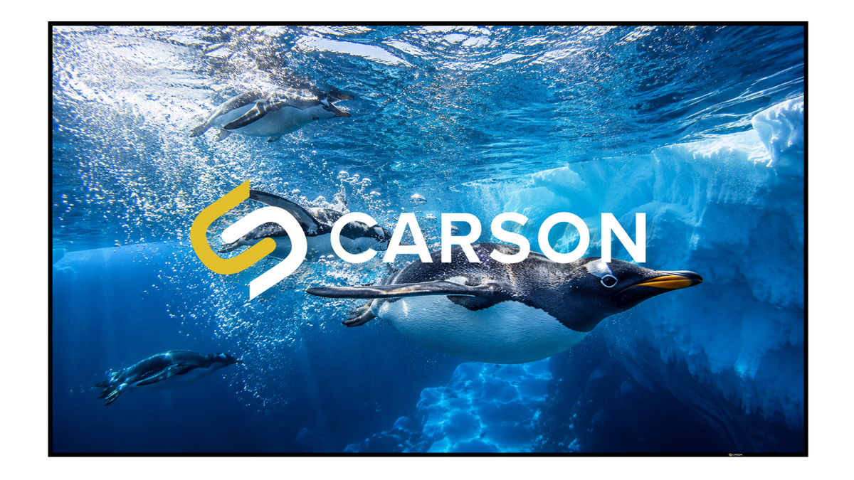 Carson Selina Zero 16:9 4K/8K Fixed Frame Home Theatre Screen