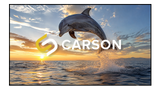 Carson Zero Starlight ALR - CLR 4K/8K UST Laser LED 16:9 Premium Ambient Light Rejection Zero Edge Fixed Frame Projector Screen