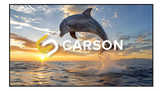 Carson Zero Starlight ALR/CLR 4K UST Fixed Frame Projector Screen | 16:9